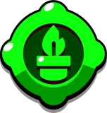 Repot